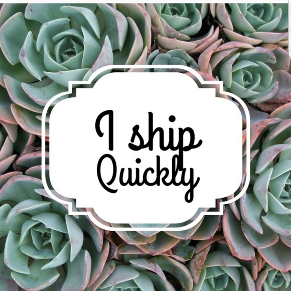 Banana Republic Denim Jean Blaze Sz 14 - Picture 9 of 9